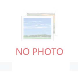 2030年我國工程機械行業(yè)會面臨哪些機遇和挑戰(zhàn)？